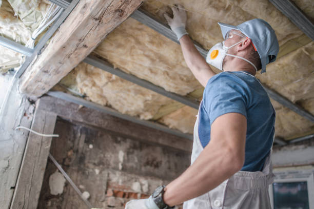 Best Insulation Installation Services in Indianola, MS