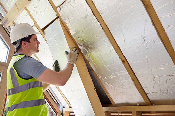 Best Residential Insulation in Indianola, MS