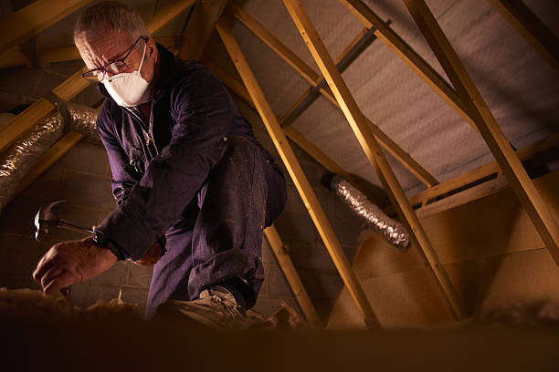Best Commercial Insulation in Indianola, MS