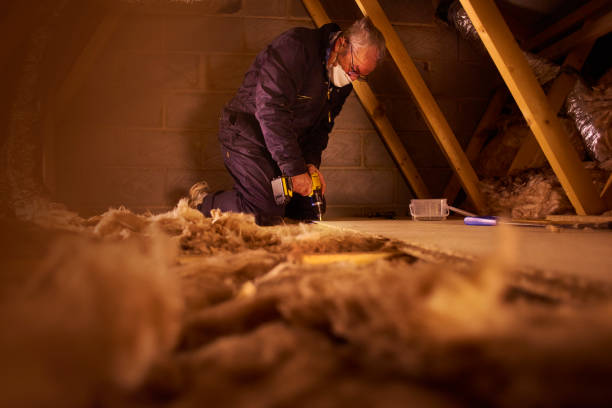 Best Insulation Installation Services in Indianola, MS